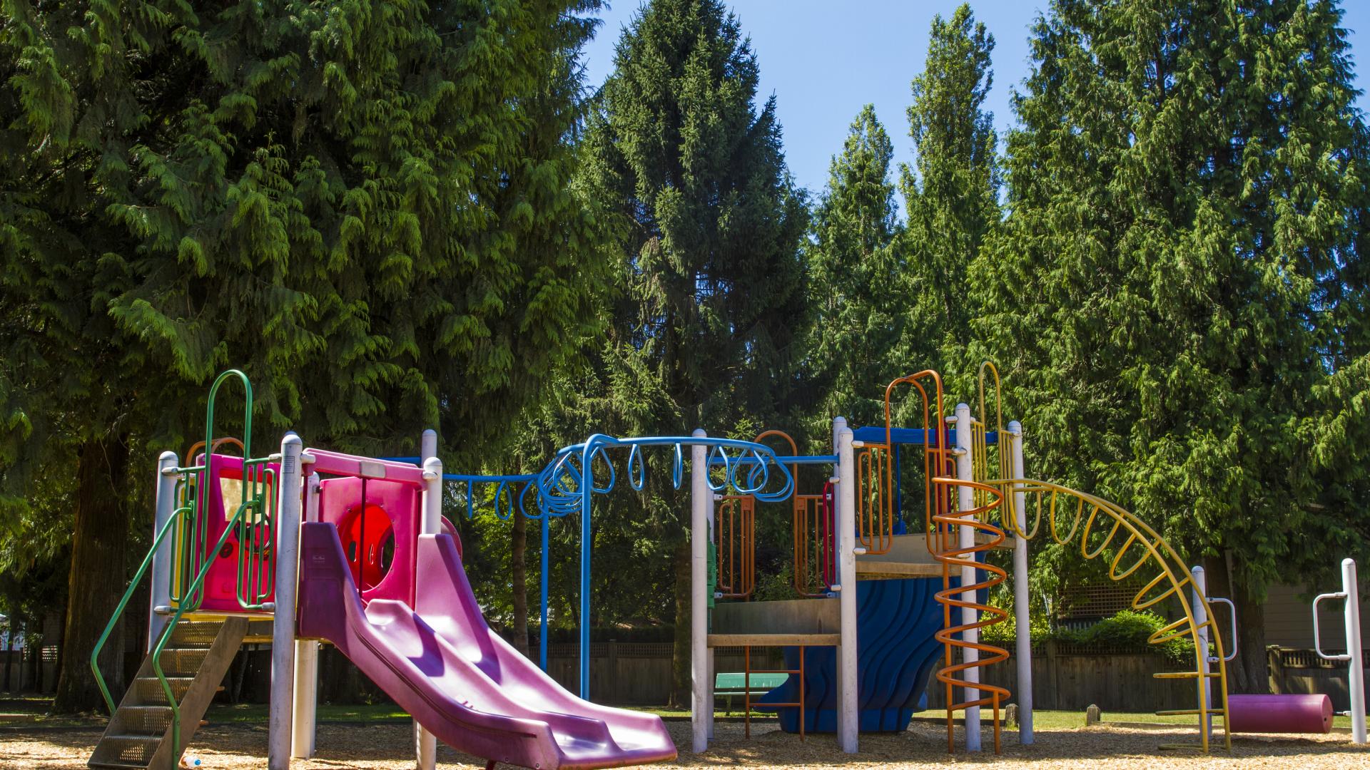 Two colourful playgrounds on a mulch bed in front of several tall evergreens.